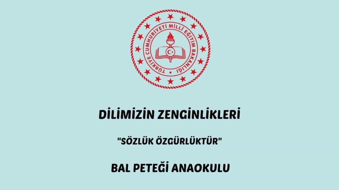 Dilimizin Zenginlikleri Projesi Nedir?